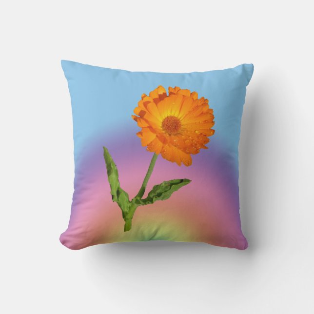 Pillow - Calendula en Rainbow Kussen (Voorkant)