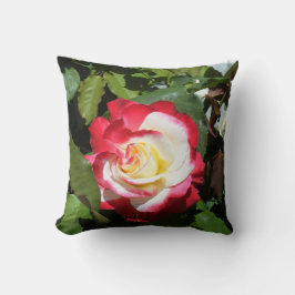 Pillow met rode getipeerde prachtige Balboa Island Kussen