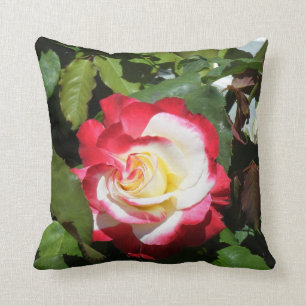 Pillow met rode getipeerde prachtige Balboa Island Kussen