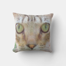 Pillow - Tabby Cat Face