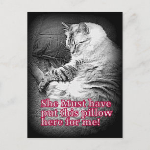 Pillow voor mij Briefkaart