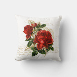 PillowThrow Pillow 20 x 20 inch Kussen