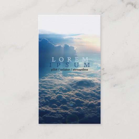 Piloot Aviator Stewardess Plane Sky Post Visitekaartje (Voorkant)