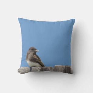 piloot - flycatcher op hek kussen