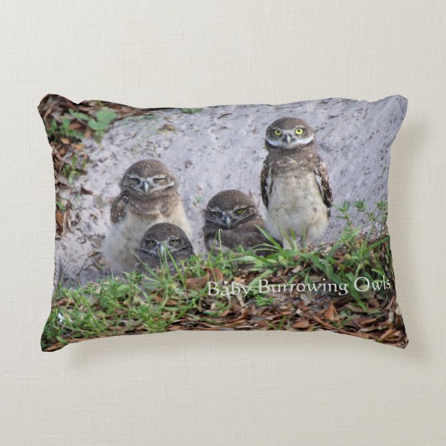 Piloot van Baby Burrowing Owls Accent Kussen (Voorkant)