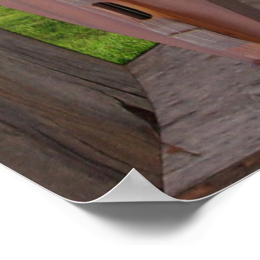 PILOT MOUNTAIN NOORD CAROLINA POSTER (Hoek)