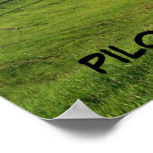 PILOT MOUNTAIN, NOORD CAROLINA POSTER (Hoek)