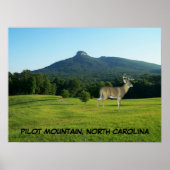 PILOT MOUNTAIN, NOORD CAROLINA POSTER (Voorkant)