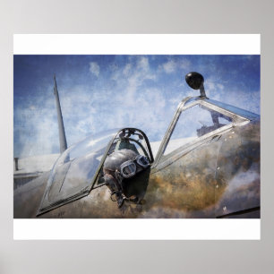 PILOT VAN SPITFIRE-PET en -GOGGLES Poster