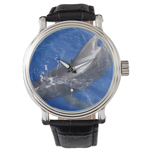 Pilot Whale in Hawaï Horloge (Voorkant)