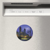 Pilsen magneet (Insitu (Vaatwasser))