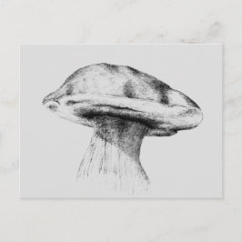 Pilz Steinpilz Zeichnung Briefkaart