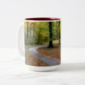 Pimmit Hills Park Path Mok (Voorkant links)