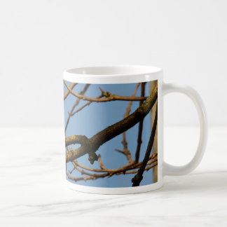 Pimpelmees Koffiemok