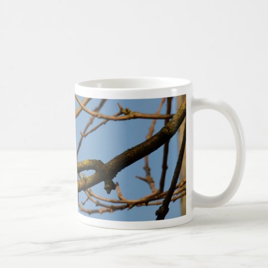 Pimpelmees Koffiemok (Rechts)