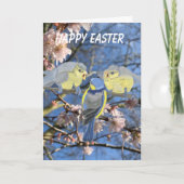 Pimpelmees Moeder en Baby's Pasen Feestdagen Kaart (Voorkant)