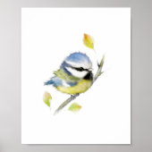 Pimpelmees vogelposterprint poster (Voorkant)