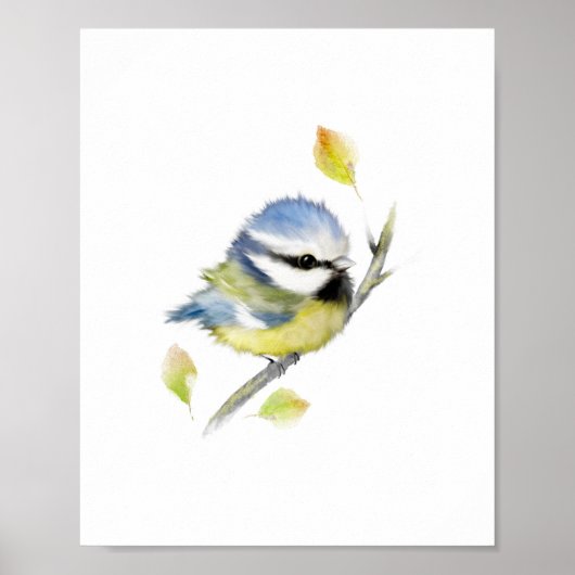 Pimpelmees vogelposterprint poster (Voorkant)