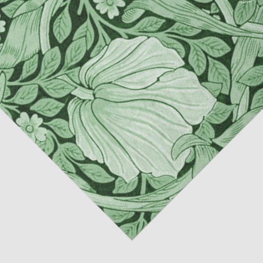 Pimpernel Green, William Morris Tissuepapier (Detail)