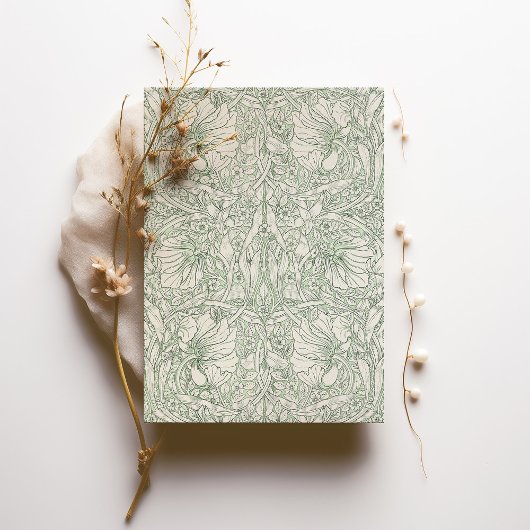 Pimpernel Muted Sage Green Cream William Morris Kaart