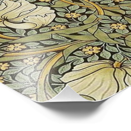 Pimpernel William Morris Foto Afdruk (Hoek)