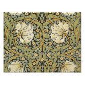 Pimpernel William Morris Foto Afdruk (Voorkant)