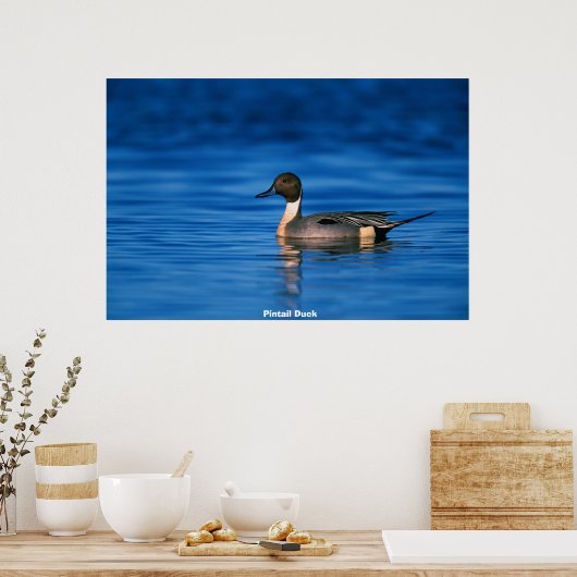 Pin Duck Poster (Keuken)