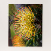 Pin Kussen Protea Bloemen op Maui Legpuzzel (Verticaal)