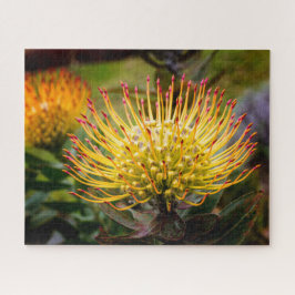 Pin Kussen Protea Bloemen op Maui Legpuzzel