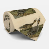 Pin-tailed Duck - van de Amerikaanse vogels van Au Stropdas (Opgerold)