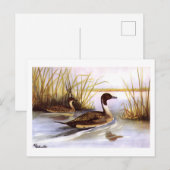 Pin Tailed Ducks 1920 beroemd gemaakt door R E To Briefkaart (Voorkant / Achterkant)