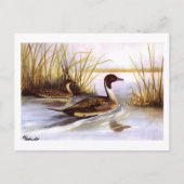  Pin Tailed Ducks 1920 beroemd gemaakt door R E To Briefkaart (Voorkant)
