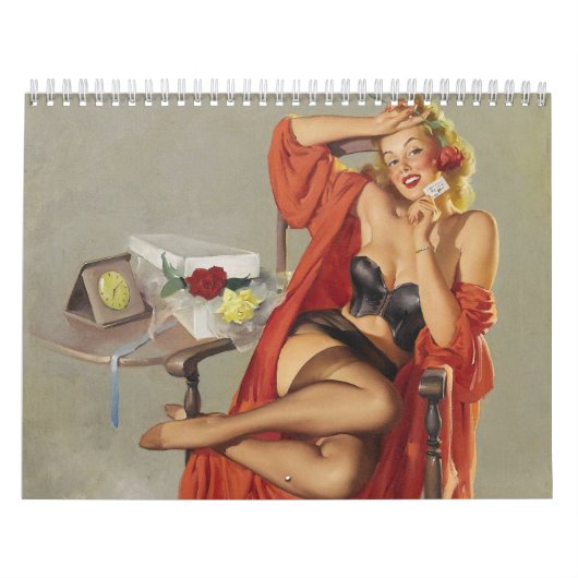 Pin-Up-agenda 2014 Kalender (Hoes)