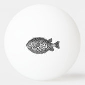 Pincetvis Kogelvis  Thunder_Cove  Pingpongbal (Achterkant)