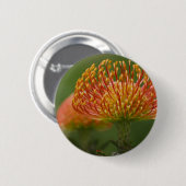Pincushion Protea Ronde Button 5,7 Cm (Voorkant /achterkant)