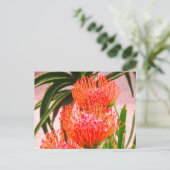 Pincushion Tango #1-2 Briefkaart (Staand voorkant)