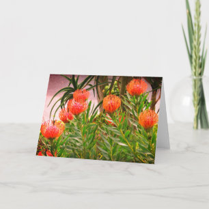 Pincushion Tango #1 Kaart