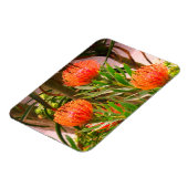 Pincushion Tango #1 Magnet Magneet (Linkerzijde)