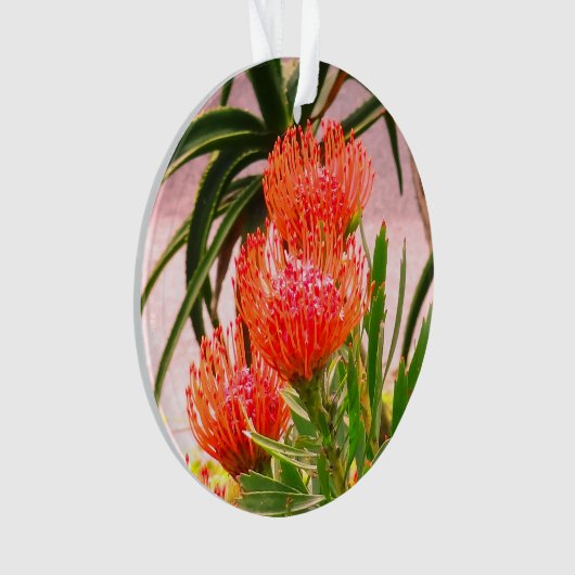 Pincushion Tango #1 Ornament (voorkant)