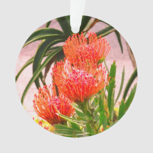 Pincushion Tango #1 Ornament