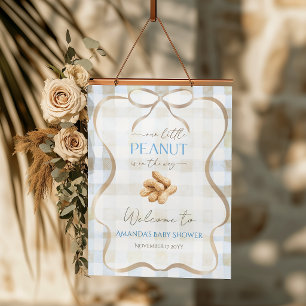 Pinda Jongen Blauwe Gingham Baby Shower Welkom Poster