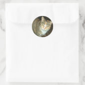 PINDA-STICKER RONDE STICKER (Tas)