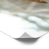 Pindakaas Poster (Hoek)