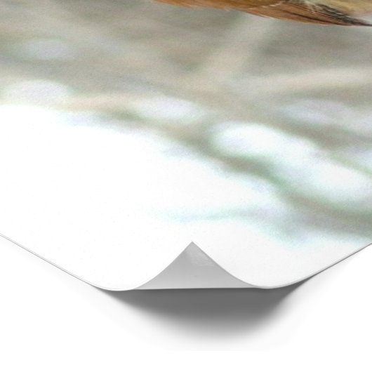 Pindakaas Poster (Hoek)