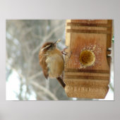 Pindakaas Poster (Voorkant)