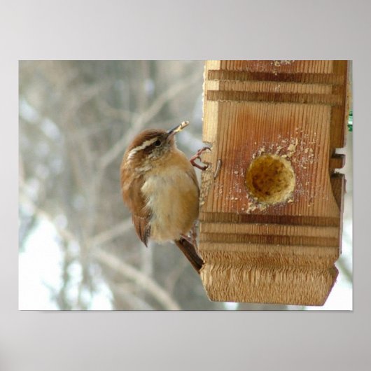 Pindakaas Poster (Voorkant)