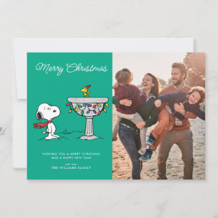 Pindakaas Snoopy & Woodstock Bevroren Vogeldrink Feestdagenkaart