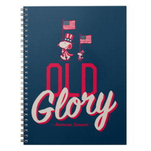 pinda's   American Summer Old Glory Notitieboek
