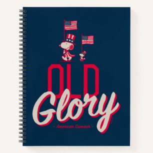 pinda's   American Summer Old Glory Notitieboek