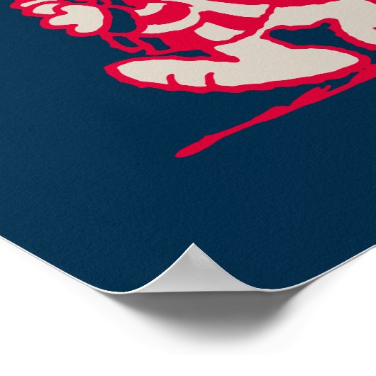 pinda's | American Summer Old Glory Poster (Hoek)